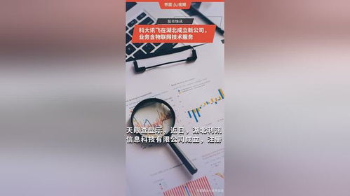 科大訊飛在湖北成立新公司，拓展物聯(lián)網(wǎng)技術(shù)服務(wù)版圖